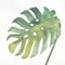 Tropical Palm Iv Poster Print by Chris Paschke - Item # VARPDX22676